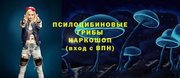 дмт Приозерск