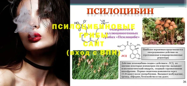 не бодяженный Абаза