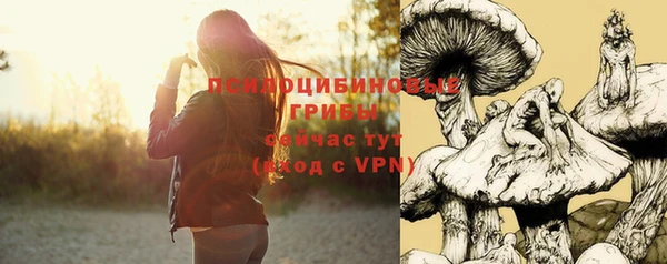 герыч Абинск