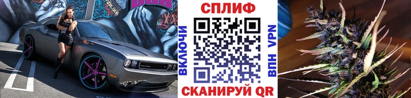 сколько стоит  kraken зеркало  МАРИХУАНА семена  Правдинск 